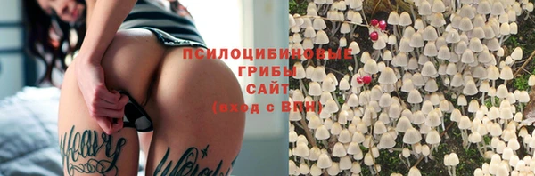 эйфоретик Беломорск